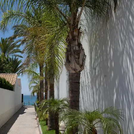 Apartment Palms La Recoleta Punta Prima Torrevieja